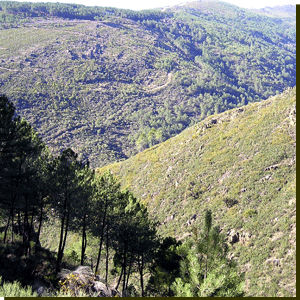 Sierra de la Quilamas